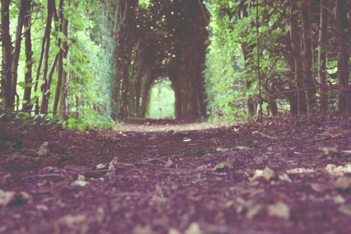 Illustration for Best Electric Bikes for Hills and Steep Terrain in Urban Areas