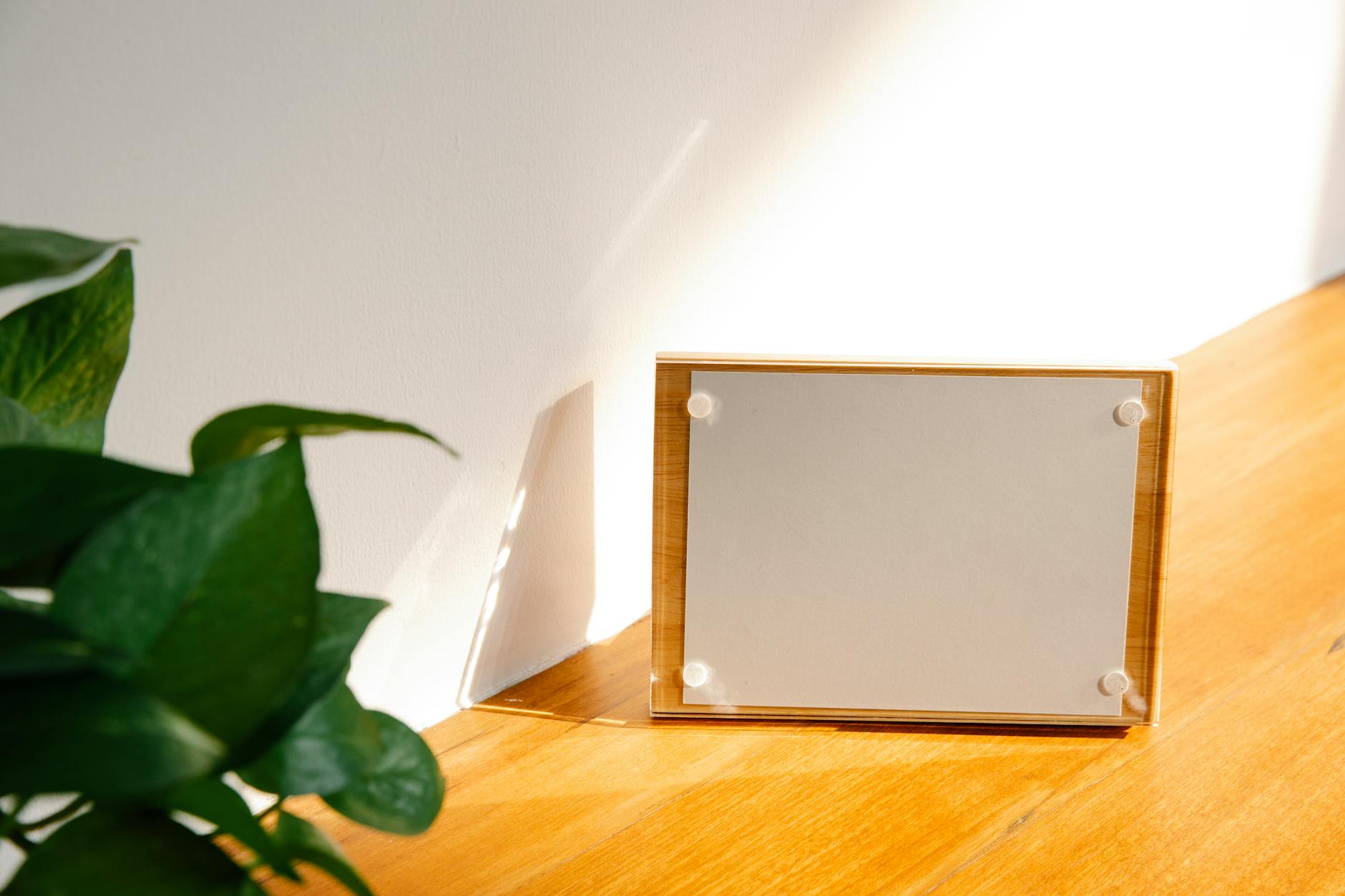 Durability and Longevity: Which Frame Material Lasts Longest on Gravel?