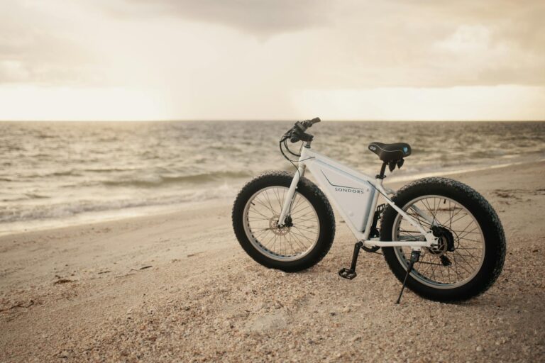 Fat Tire Electric Bikes: Are They Worth the Extra Weight? - Featured image