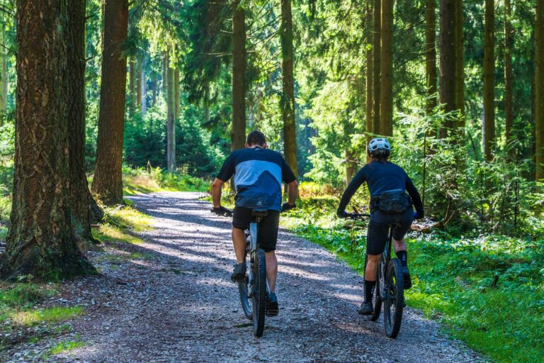 Gravel Bike Gearing Options: 1x vs 2x Drivetrains Compared - Featured image