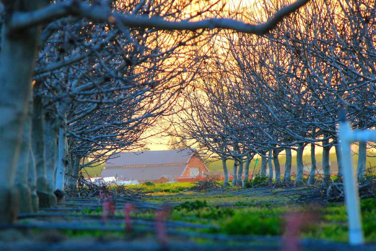 Mountain Bike Trail Etiquette Rules Every Rider Should Know - Illustration 2