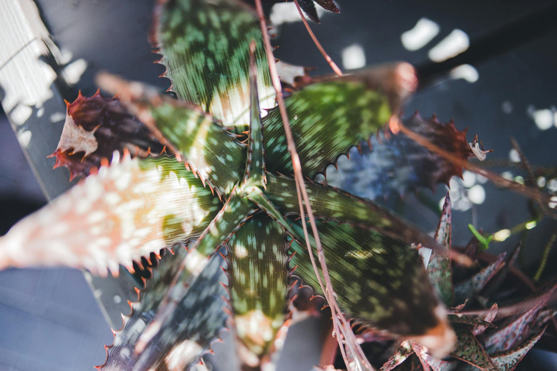 What Features Define the Best Road Bike GPS Computers for Serious Cyclists?