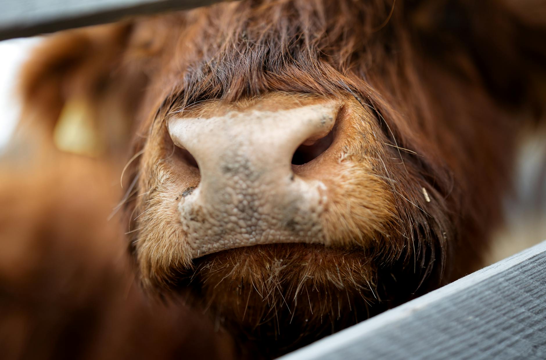 What Features Matter Most in Mountain Bike GPS Devices for Trail Navigation?