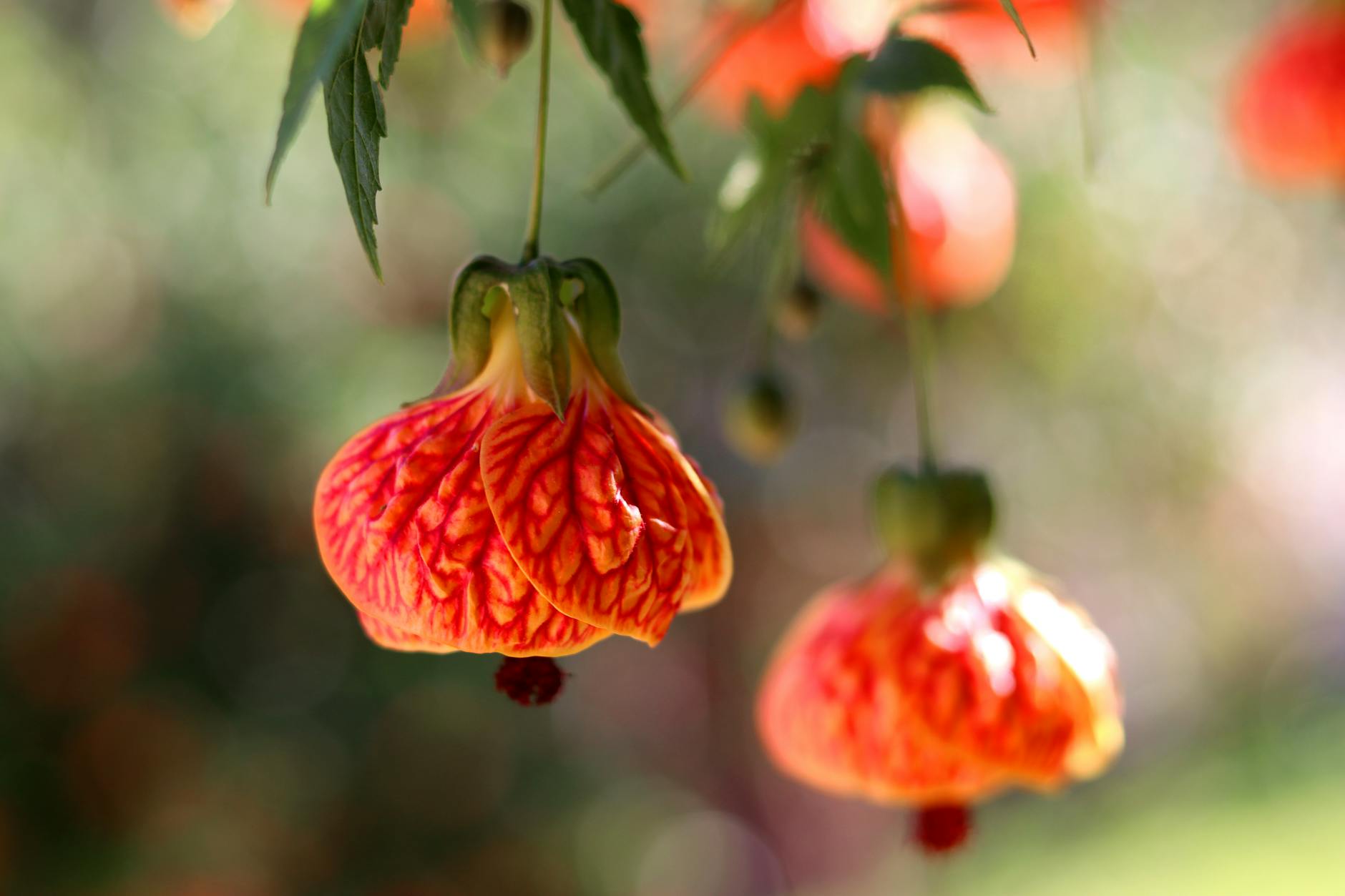 What Makes a Hybrid Bike With Front Suspension Ideal for Rough Roads?