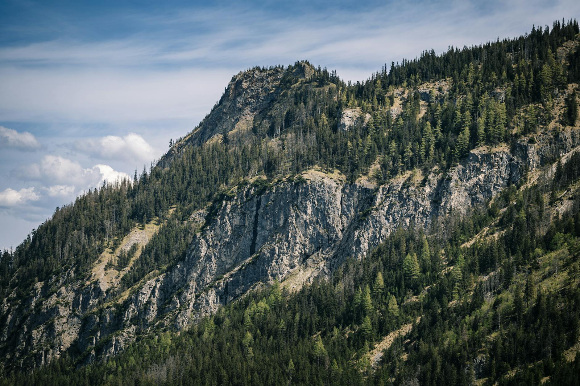 Recognizing Overtraining Syndrome Before It Derails Your Season