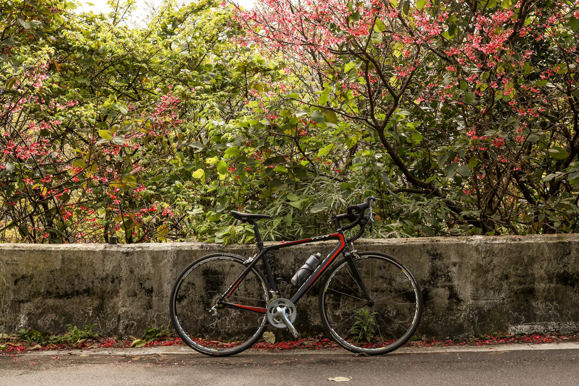 Barriers and Challenges That Still Limit Cycling Growth