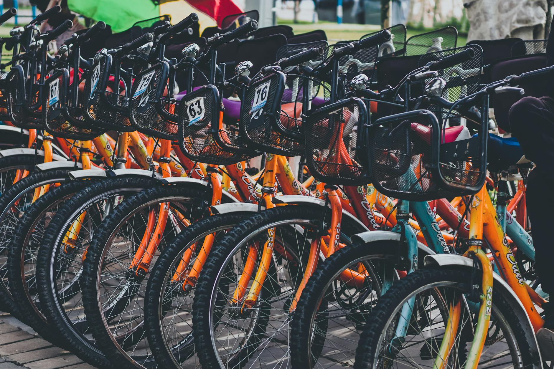 Complete Bikes vs. Building Your Own—Spoiler: Start with Complete