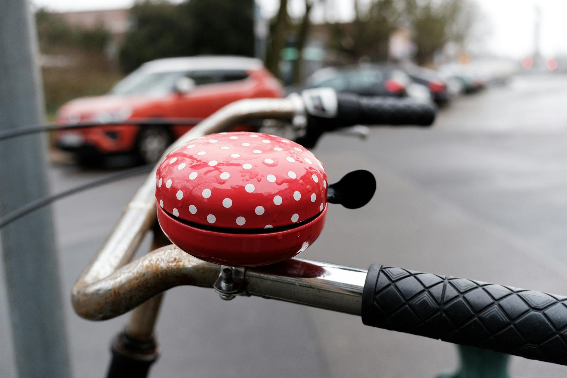 How Do Bicycles Reduce Emissions and Create Cleaner Urban Air?