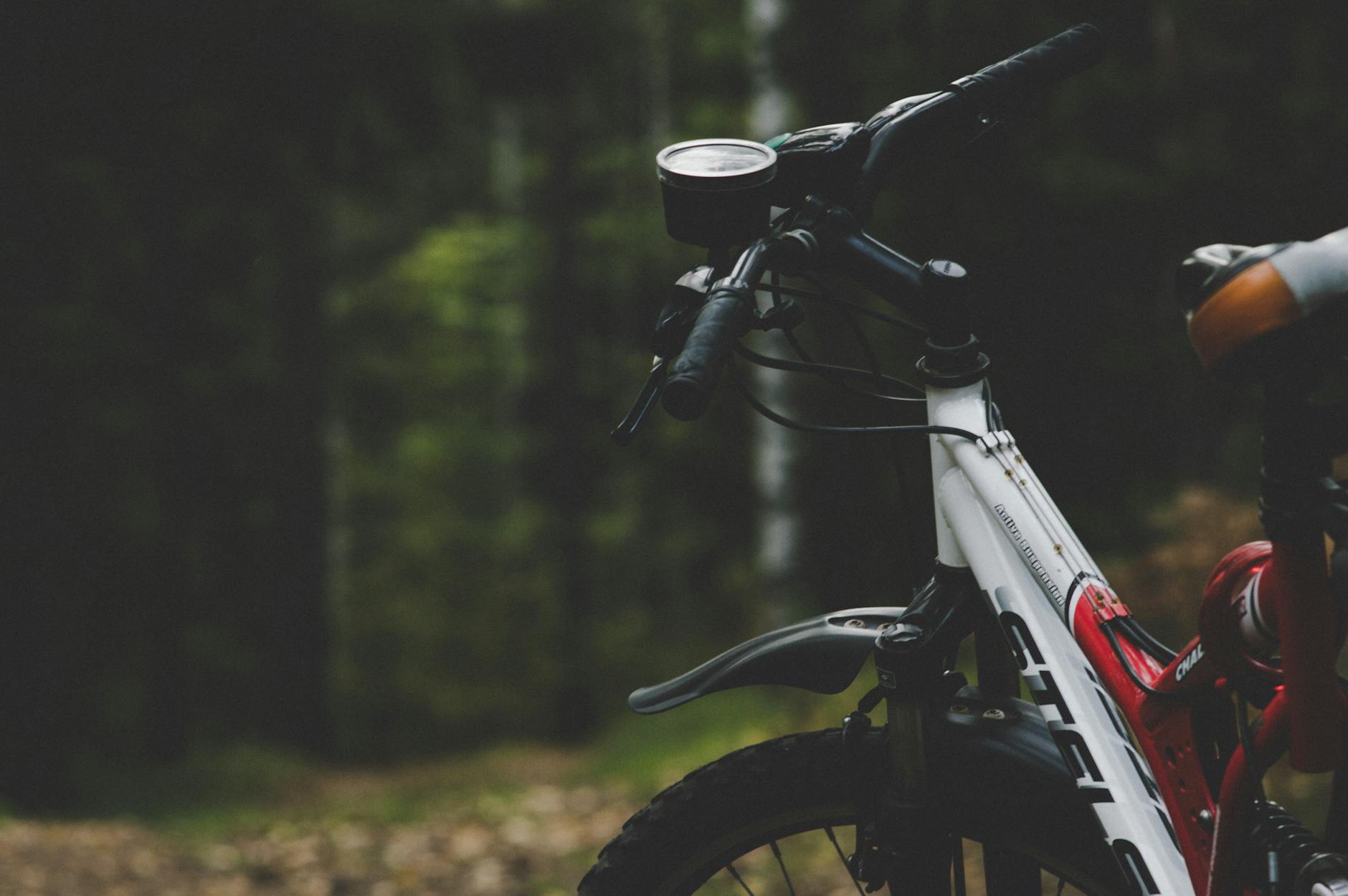How Do You Properly Disassemble Your Bike for Flight?
