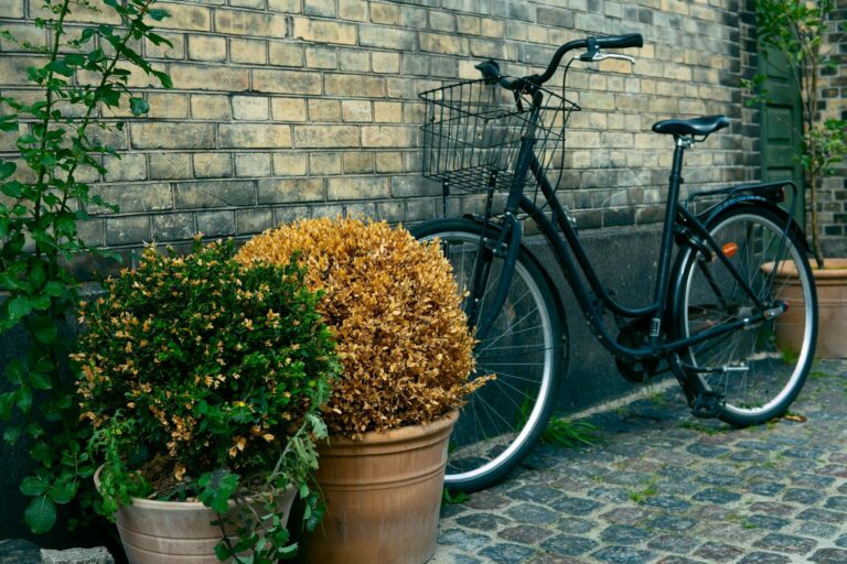 How to Store Your Bike Outside Without It Rusting - Featured image