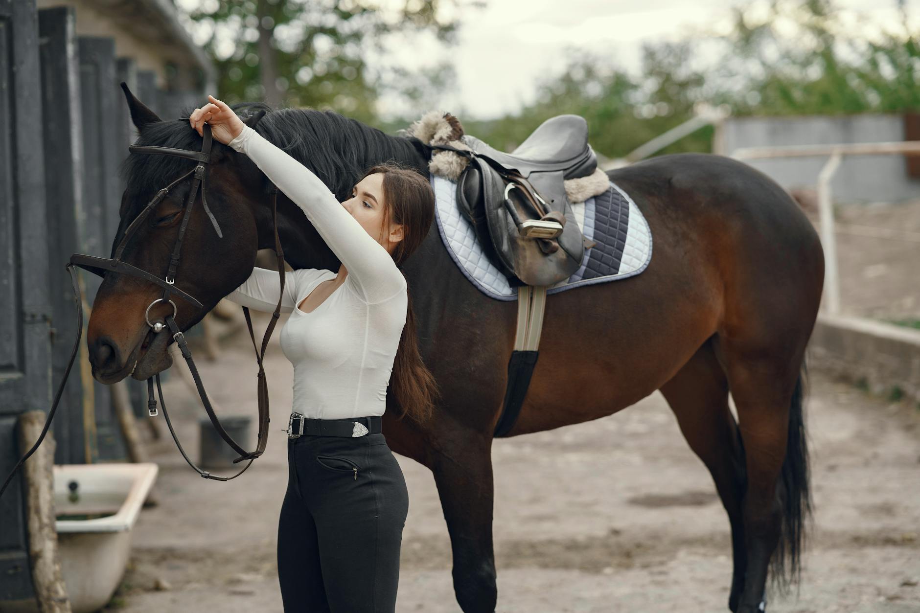 Should You Buy a Saddle Based on Online Reviews or Test It First?