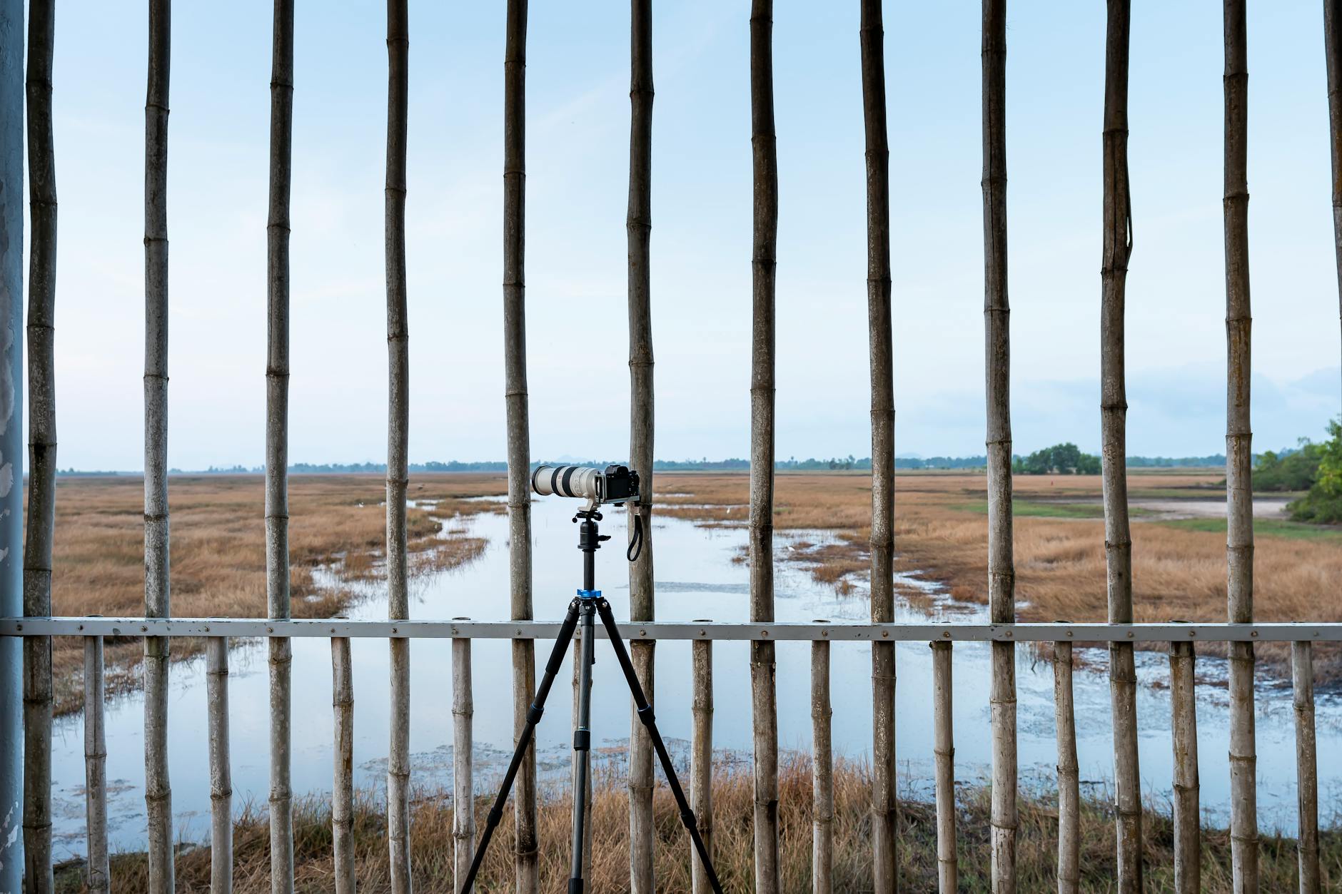Weight and Durability: The Pivotal and Tripod Equation