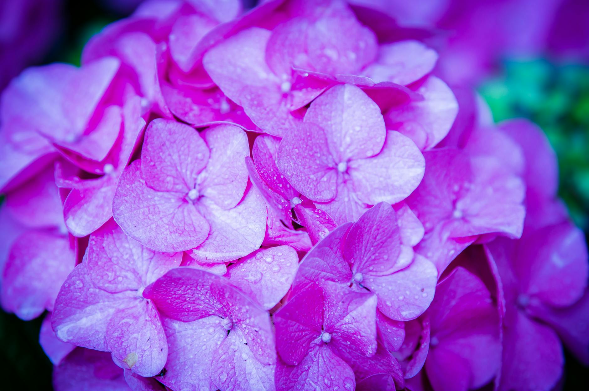 Why Is a Spring Bicycle Safety Check Essential After Winter Storage?