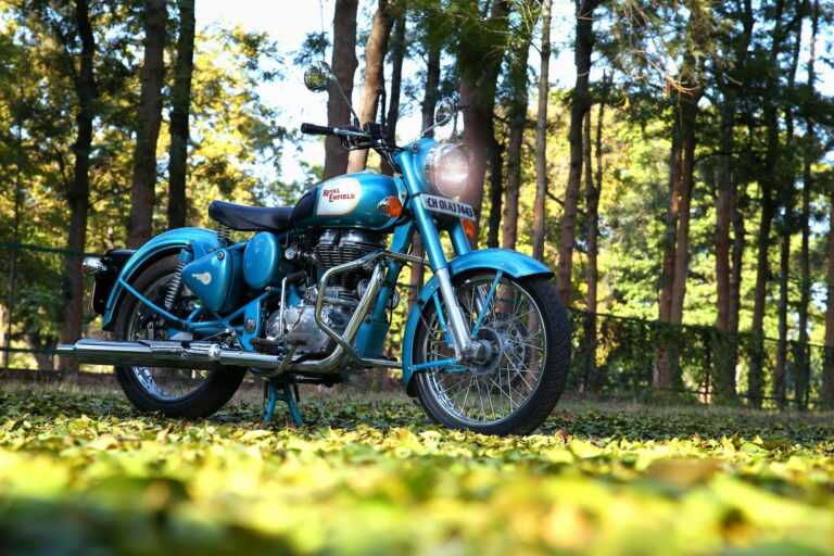 Best Entry-Level Bikes for Every Type of Cycling - Featured image