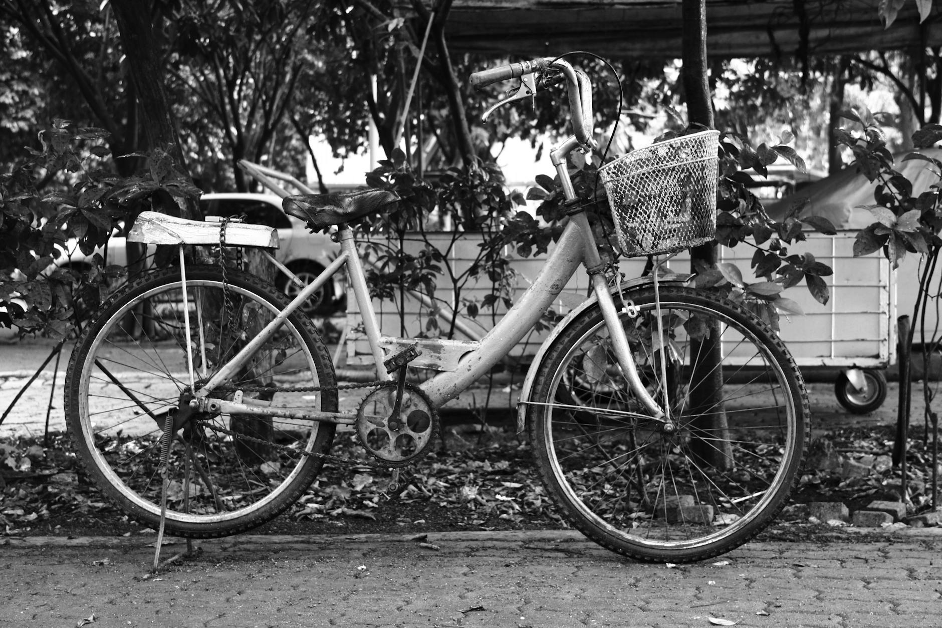 Common Mistakes People Make When Buying Bikes Without Professional Guidance