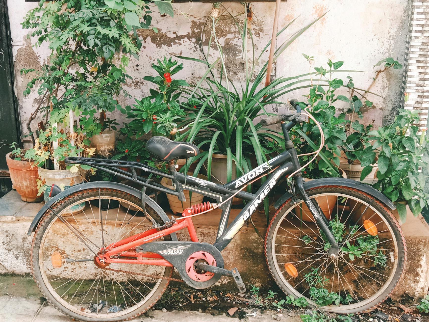 Common Pitfalls That Limit Cardiovascular Gains from Cycling