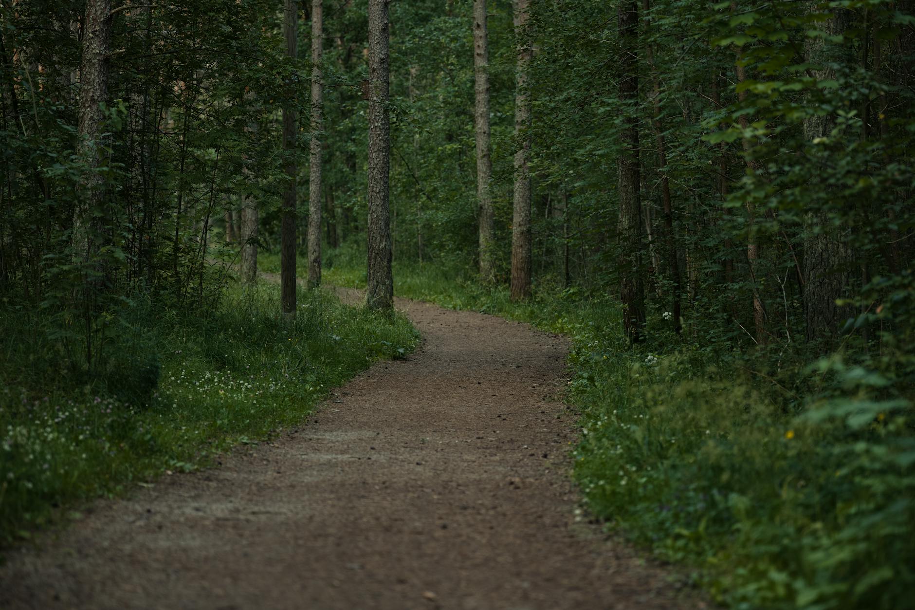 New Trail Expansions and Trail Town Recognition in 2026