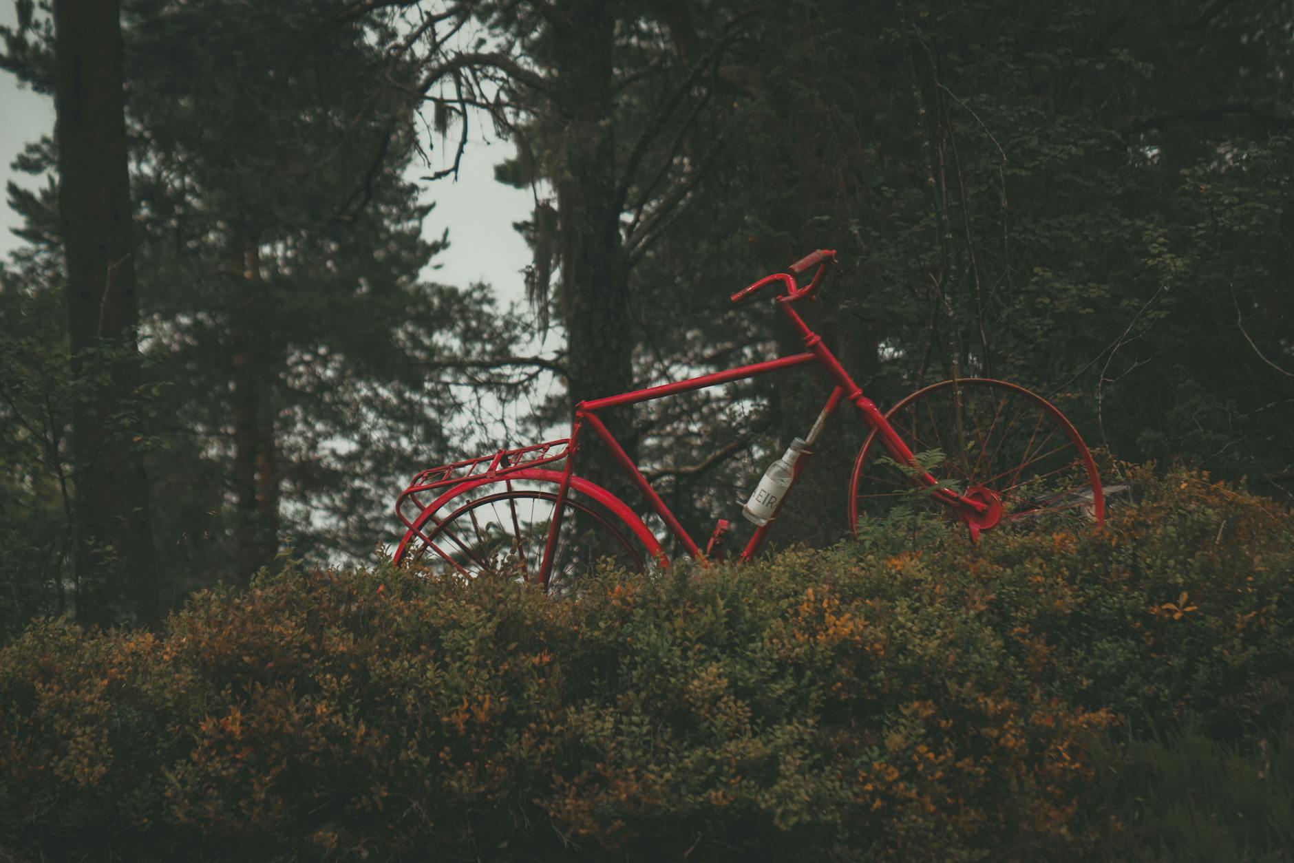The Hidden Costs Nobody Talks About: Lost Time, Recovery Fees, and Replacement Hassle