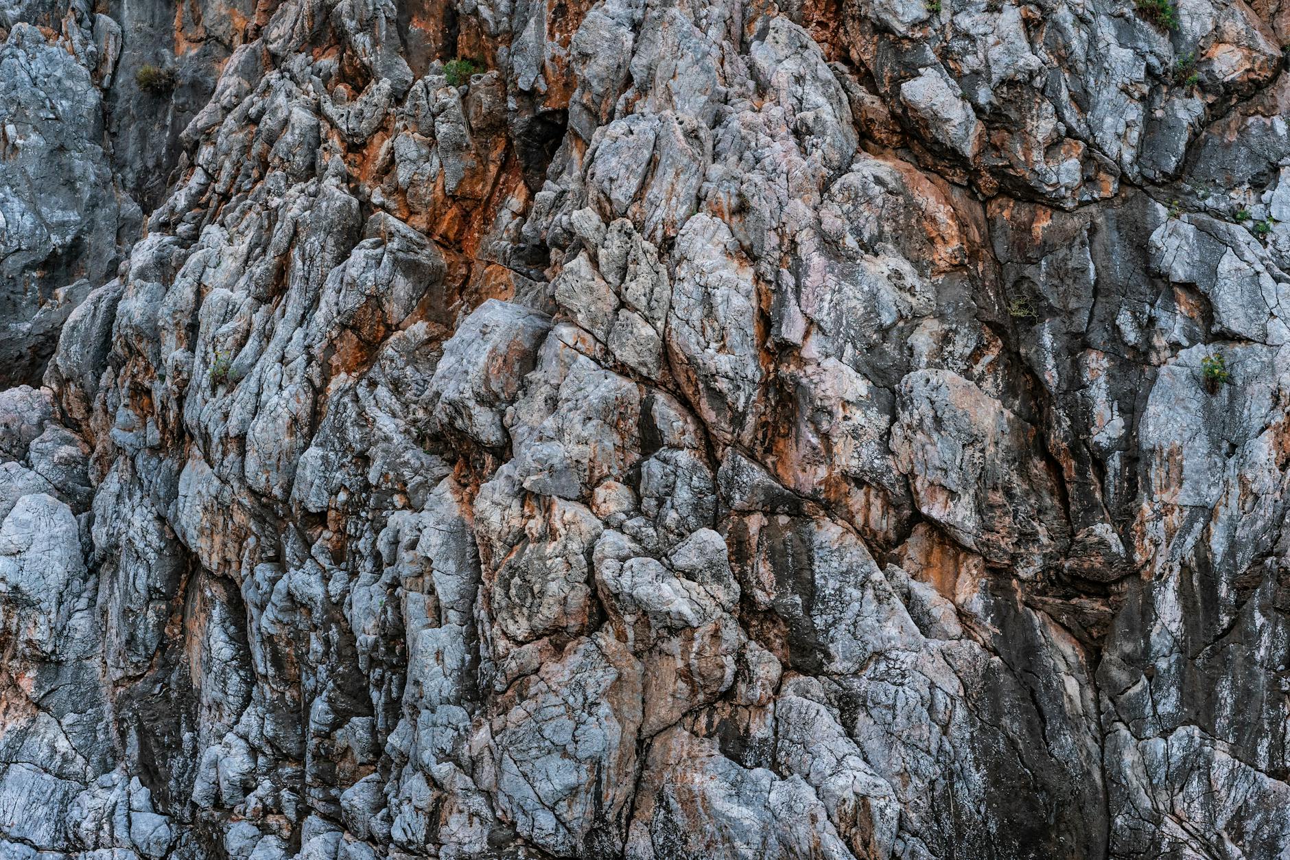 What Are the Top Mountain Bike Trail Destinations in the United States?