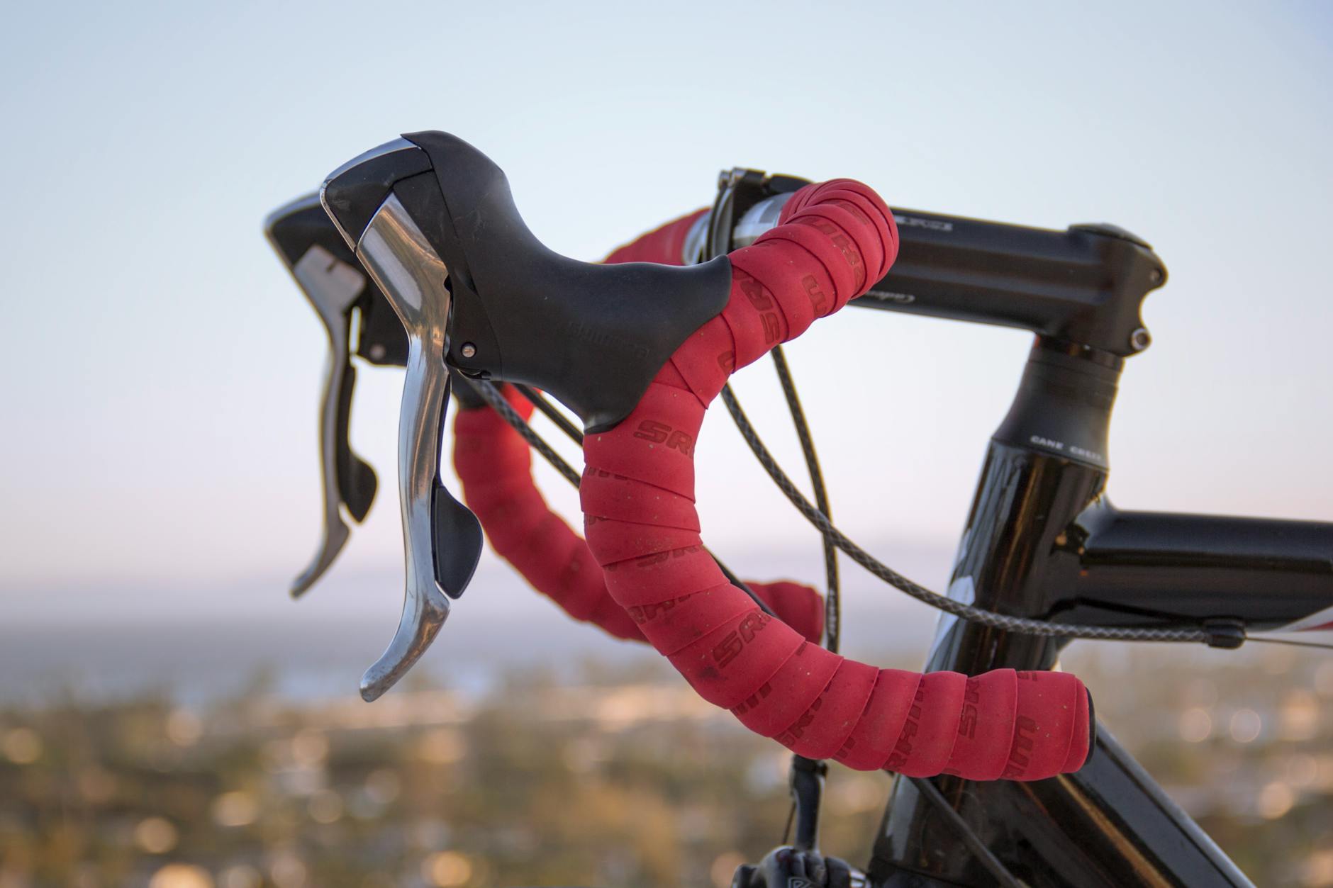 What Does a Professional Bike Tune-Up Actually Cost?