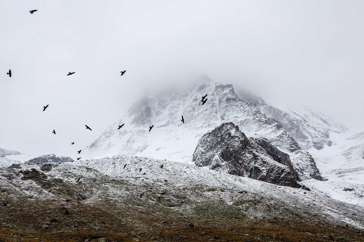 Which European Routes Offer the Best Combination of Scenery, Difficulty, and Value?