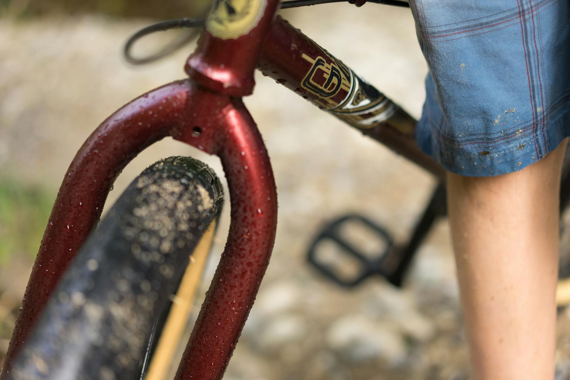 Why Is Gravel Biking Attracting New Riders at This Pace?