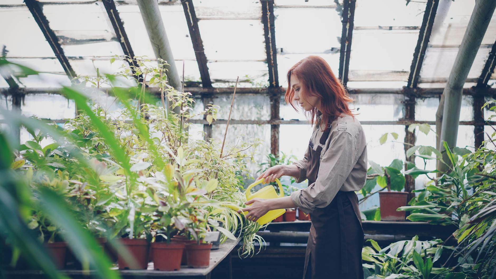 Building Identity and Culture in a Growing Community