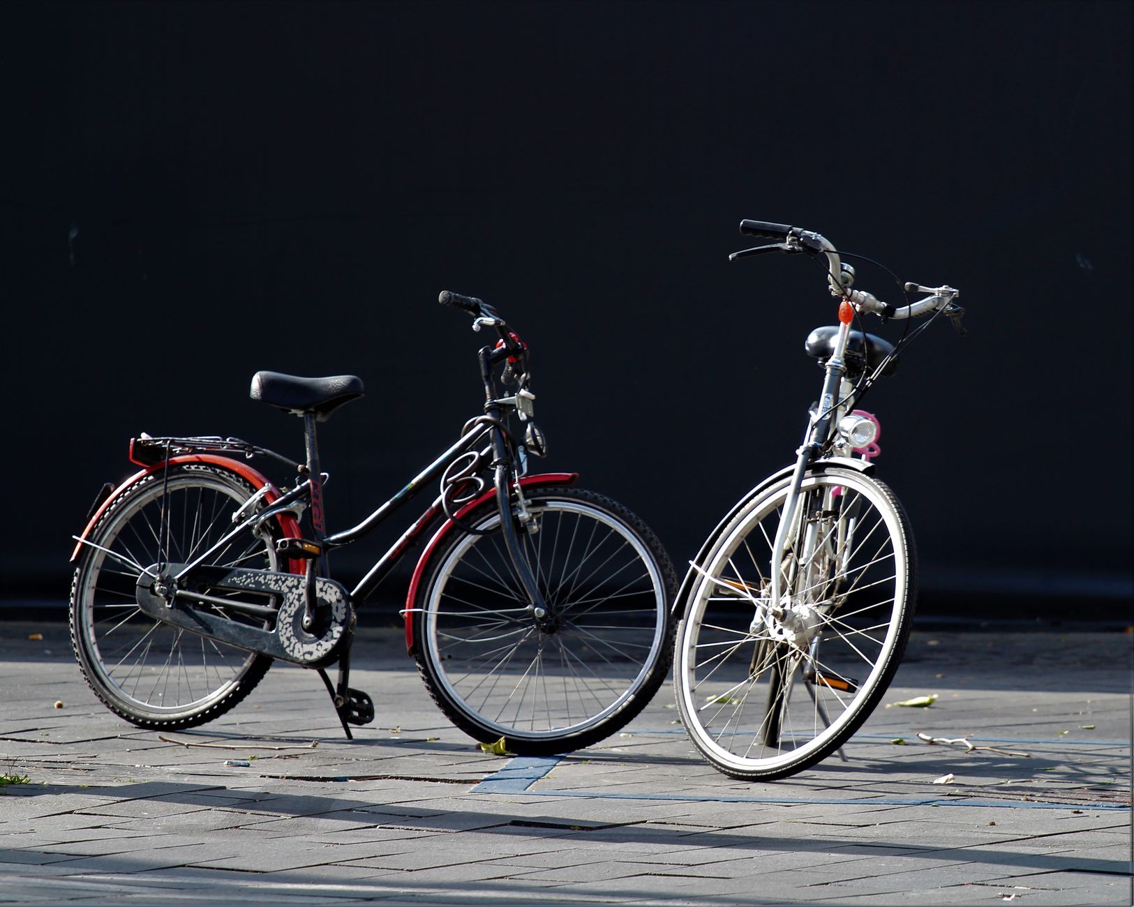 Common Challenges: Where Cargo Bikes Fall Short