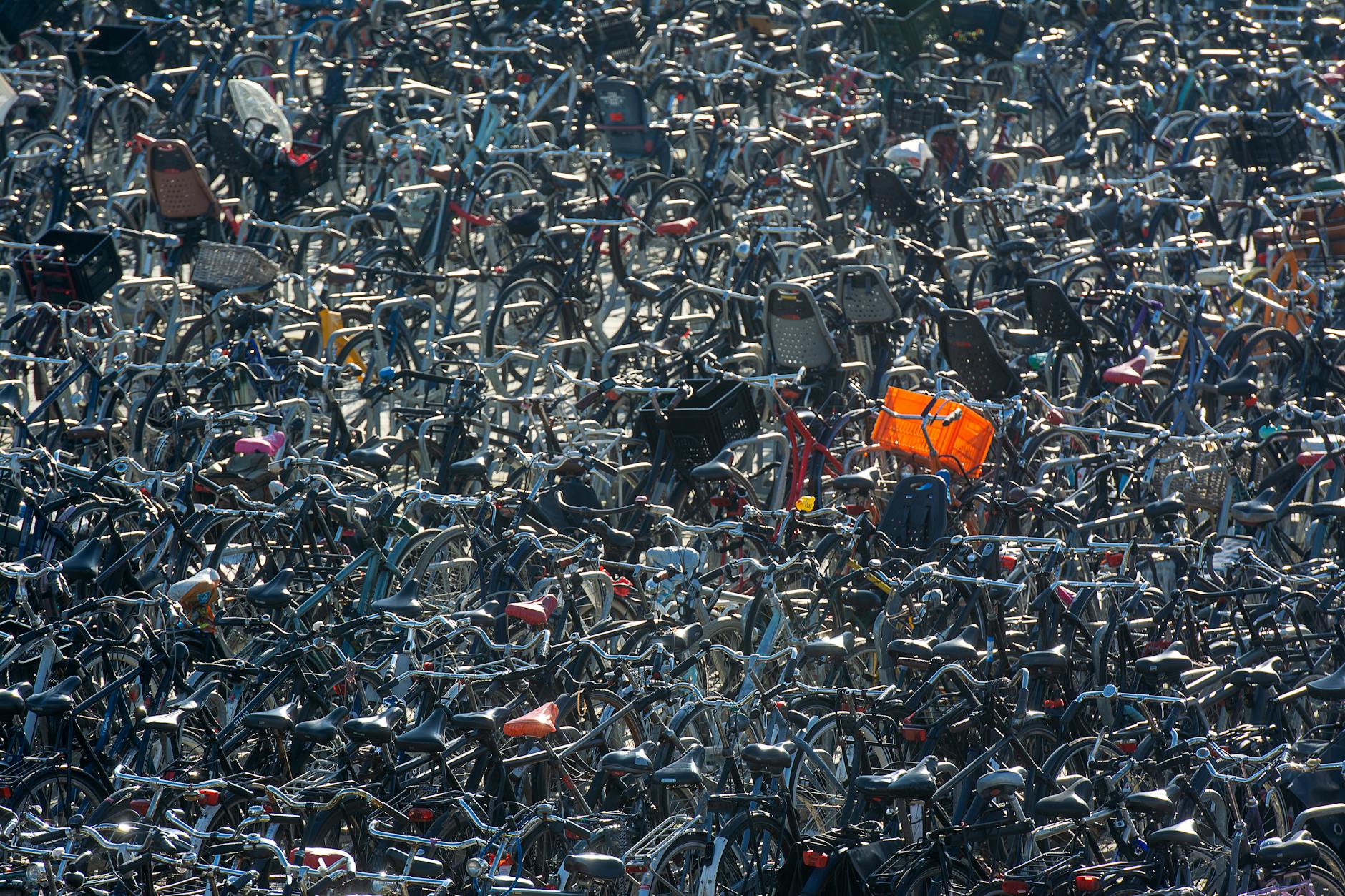 The Gap Between Infrastructure and Enforcement