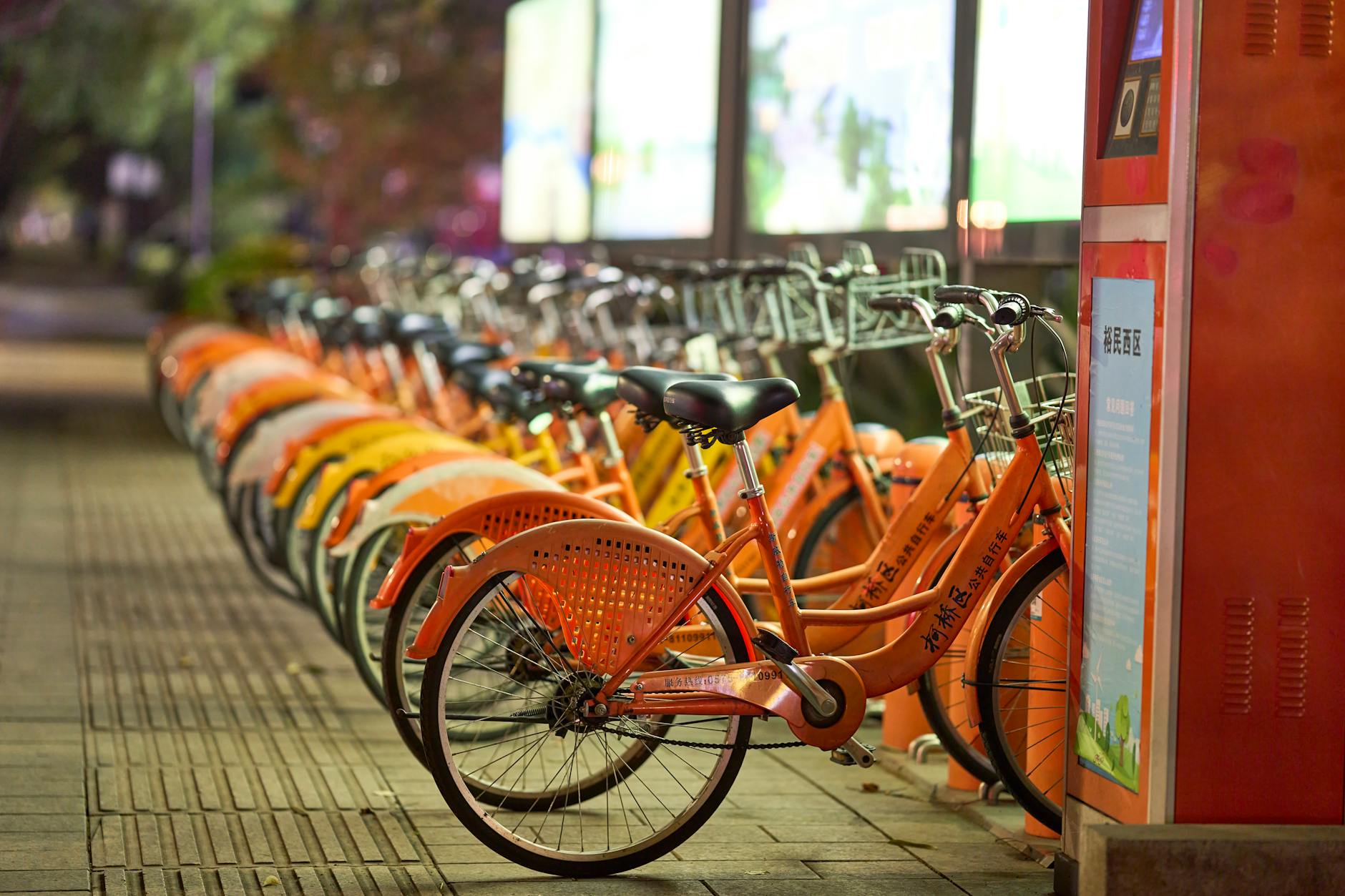 The Rise of Bike-Friendly Cities and Networks