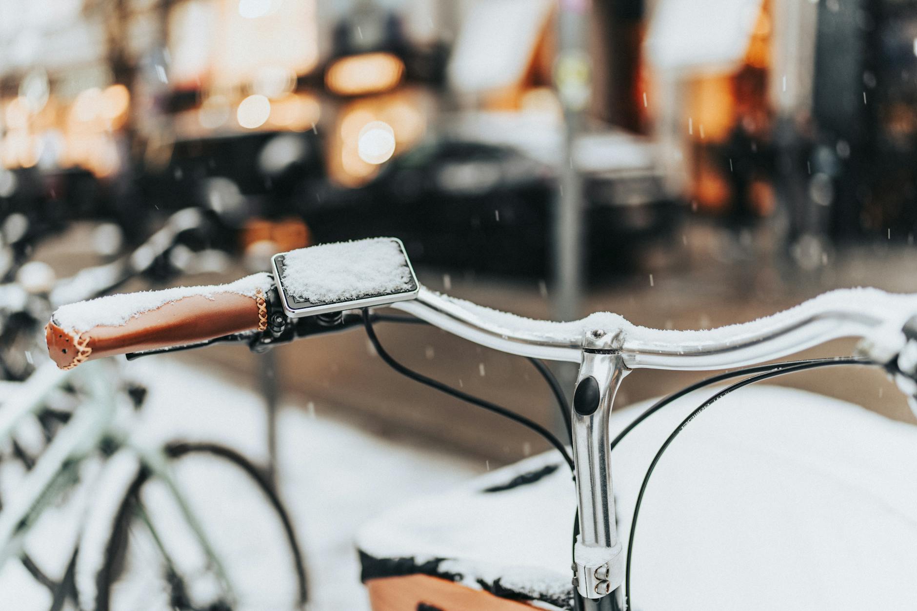 The Seasonality and Economic Fragility of Bike Share Systems