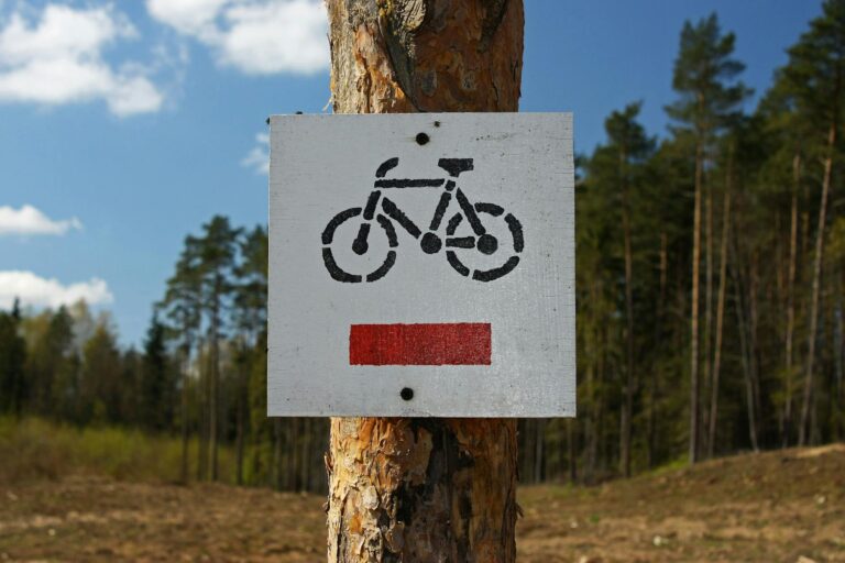 Warning: 48% of Used E-Bikes Have Battery Cells That Have Degraded Below 70% Capacity - Featured image