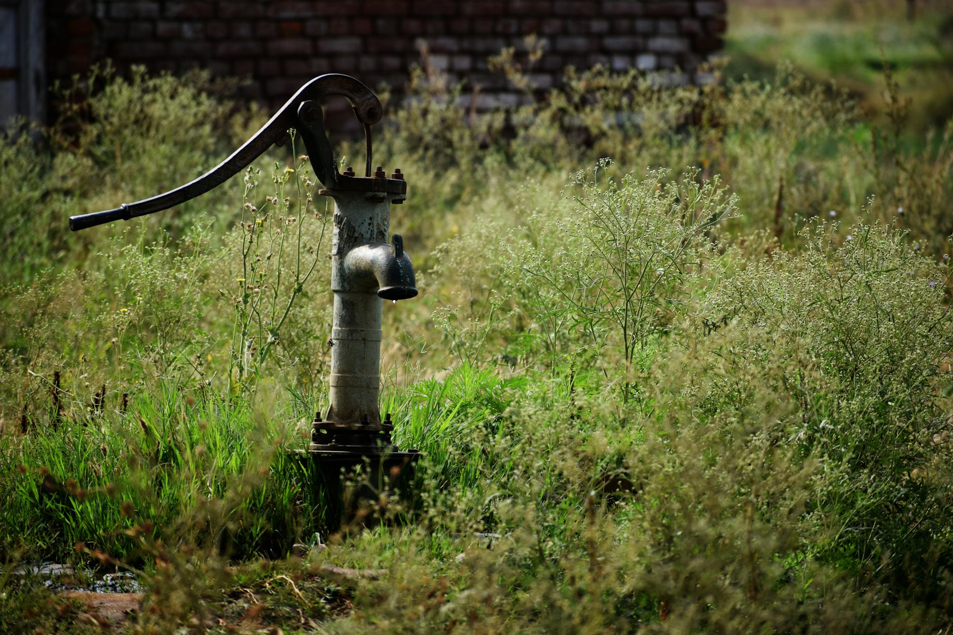 What Types of Pumps Hold Accuracy Better Than Budget Options?