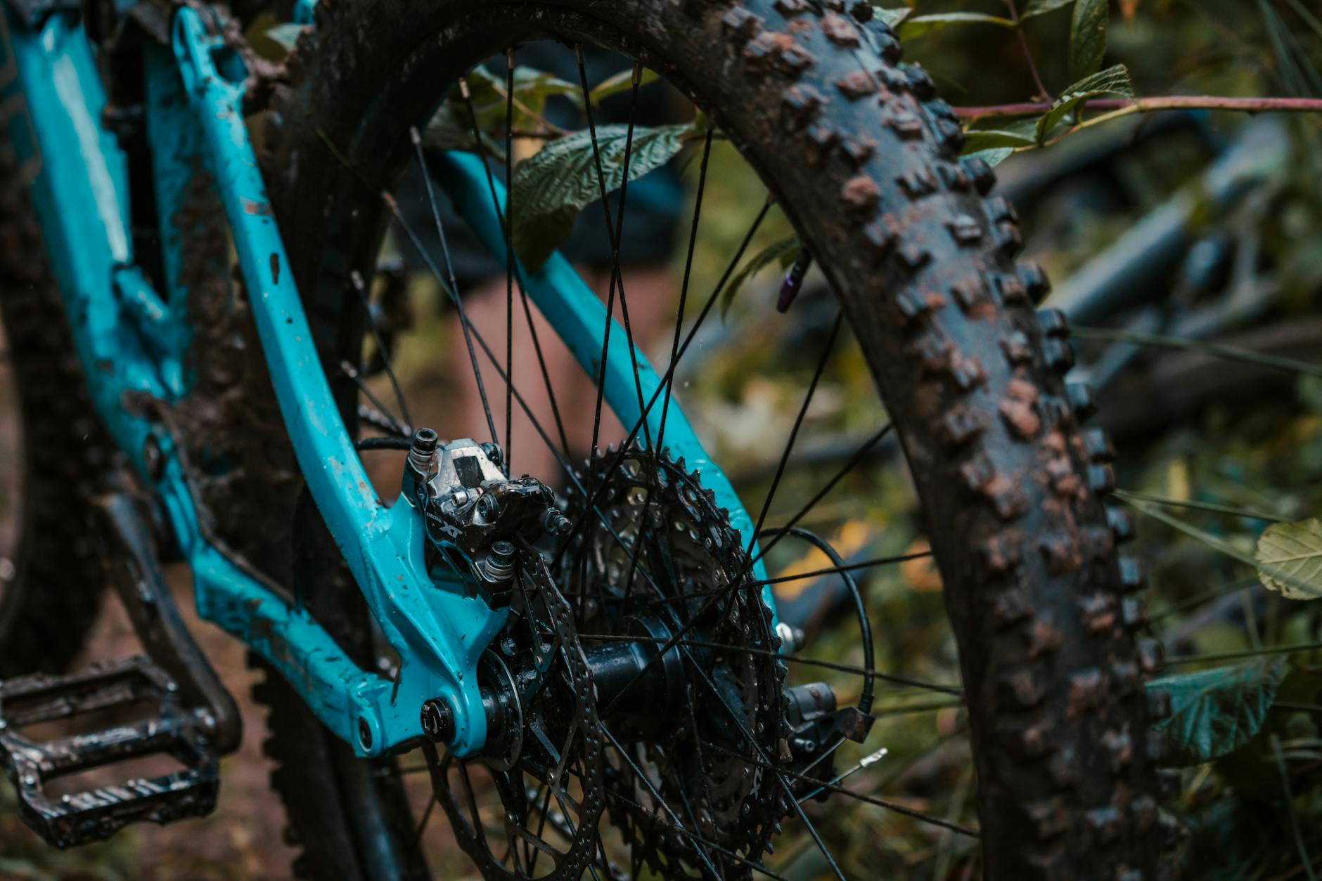 Why Rear Derailleur Replacement Costs More Than You'd Expect After a Crash