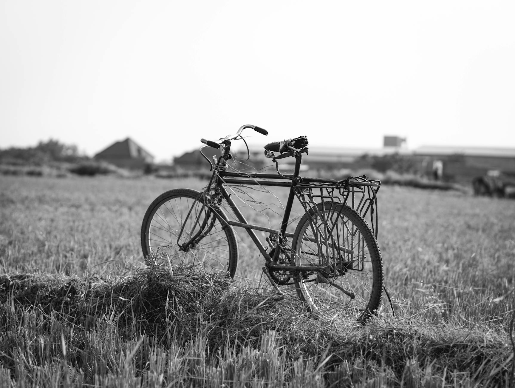 Why Traditional Bikes Still Lead—And Why That's About to Change
