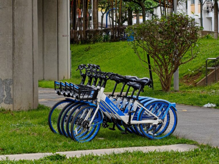 Kingbull Literider 2.0 Strengths and Weaknesses Comprehensive Bike Review - Featured image