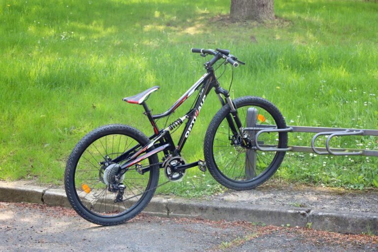 Mountain Bike Video: New Zealand Rider's Authentic Trail Experience Captured Raw - Featured image