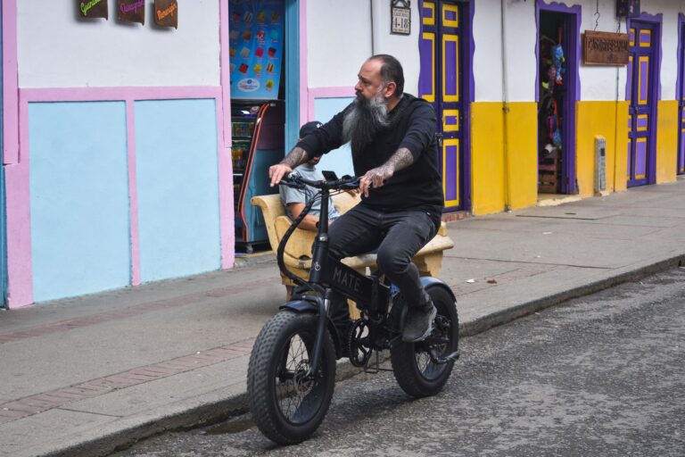 UrLife E20 E-Bike: 48V 1000W Motor 28mph Speed Up To 80 Miles Just $297 - Featured image