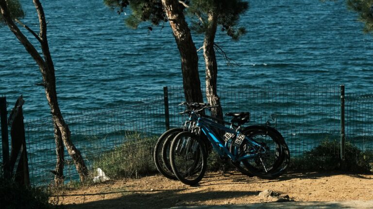 Where to Buy Trail Bikes Under $3,000: Affordable Mountain Bike Builds - Featured image