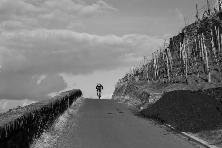 Best Climbing Road Bikes for Steep Gradients and Low Weight: What Cyclists Should Compare - Featured image