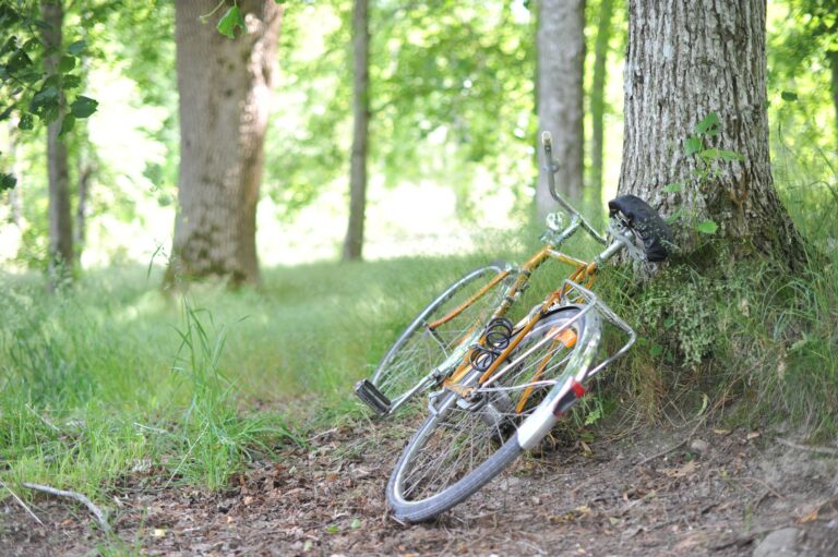 How to Inspect a Randonneuring Bike Before Buying: Frame, Wheels, Drivetrain, Brakes, and Fit - Featured image