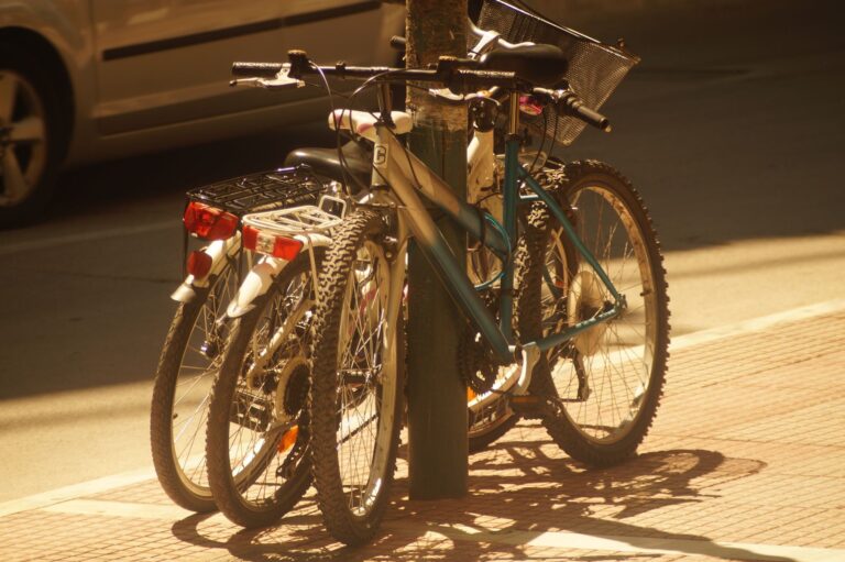 E-Bike License Requirement FAQ: Compatibility, Cost, and Practical Use - Featured image