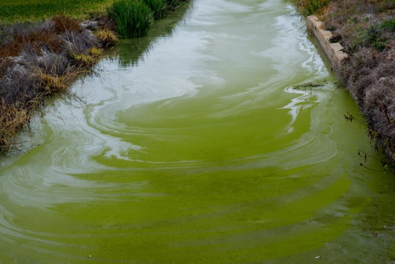 Aquatic toxicity and biodegradability tradeoffs in bicycle chain lubricants: What Manufacturers, Shops, and Cyclists Should Compare - Featured image