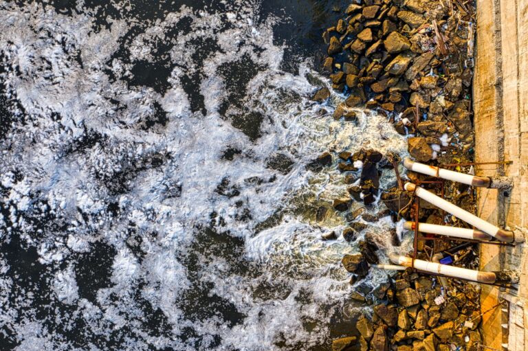 Aquatic toxicity and biodegradability tradeoffs in bicycle chain lubricants: Tradeoffs, Greenwashing Risks, and Better Alternatives - Featured image