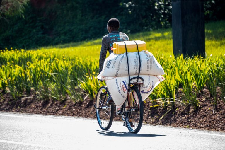 Best Longtail Cargo Bikes for Children, Groceries, and Bulky Loads: What Cyclists Should Compare - Featured image