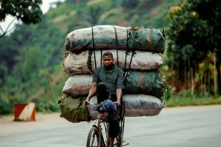 Longtail Cargo Bike Ownership Guide: Setup, Maintenance, Upgrades, and Common Tradeoffs - Featured image
