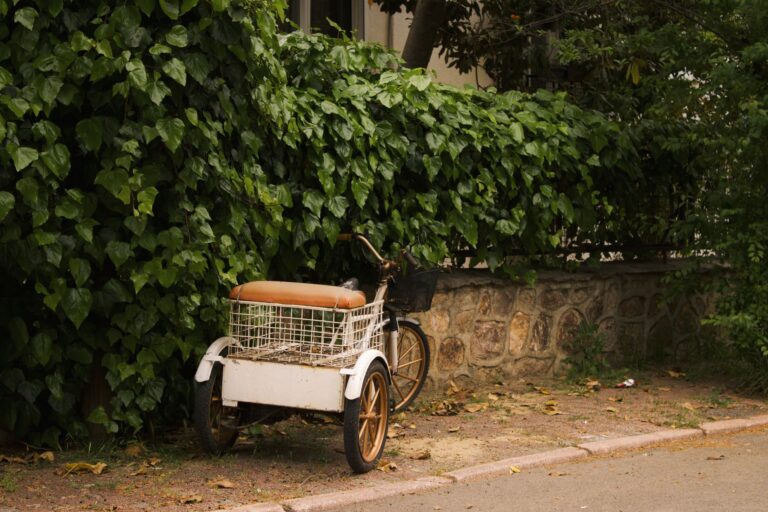 Three-Wheel Cargo Bike Ownership Guide: Setup, Maintenance, Upgrades, and Common Tradeoffs - Featured image